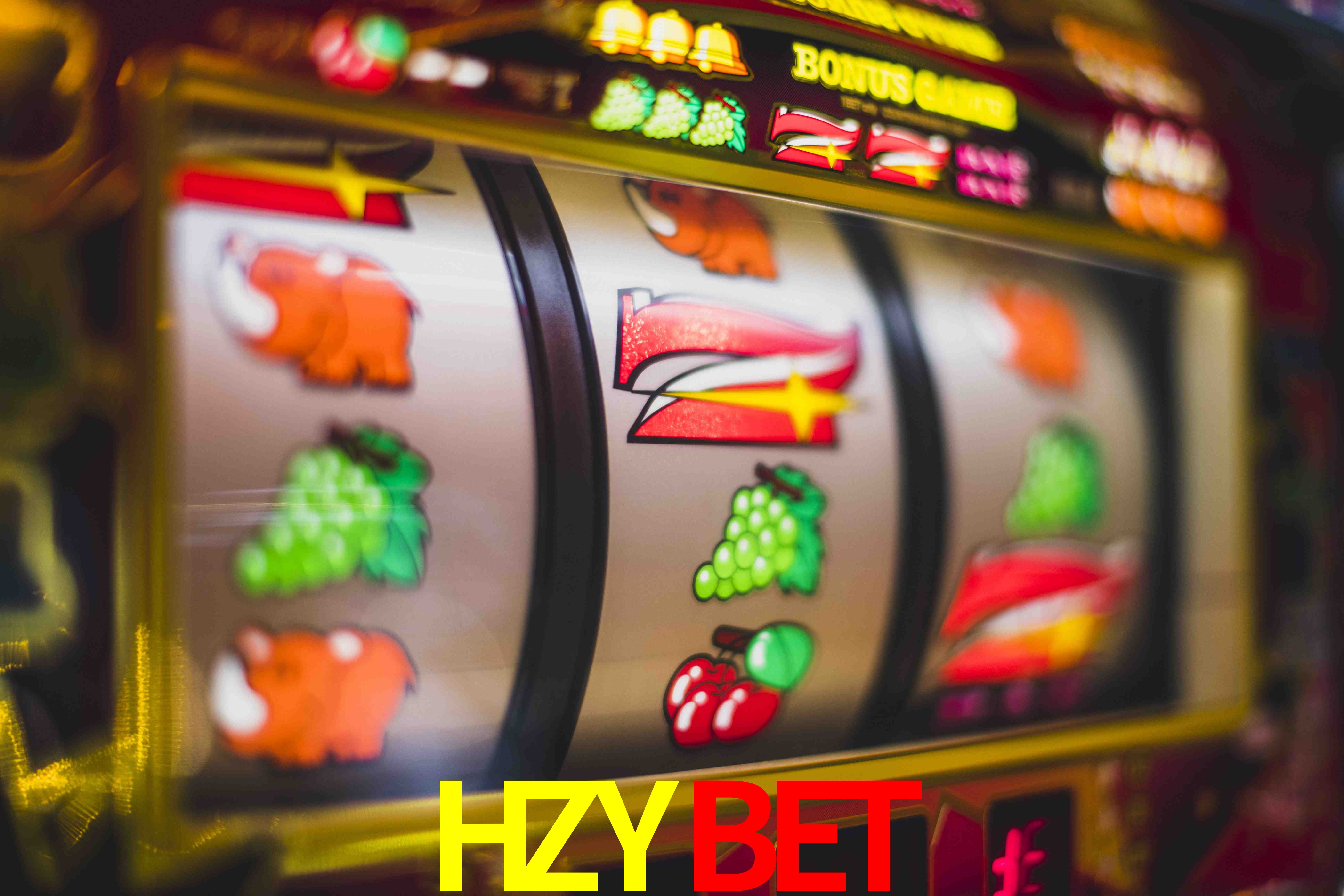 Statistics HZYBET