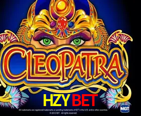 HZYBET Curitiba - Live Status