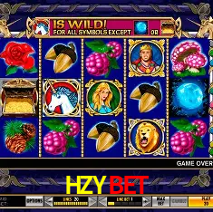 HZYBET Rio de Janeiro - Bonus Terms
